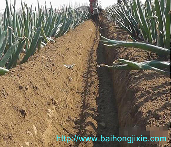 开沟培土机在大葱种植中的使用